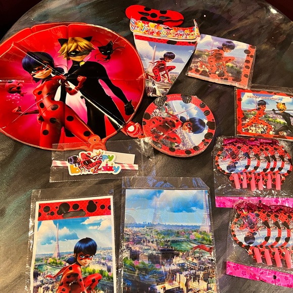 Ladybug Costume and Birthday Supplies Bundle